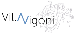Logo Villa Vigoni